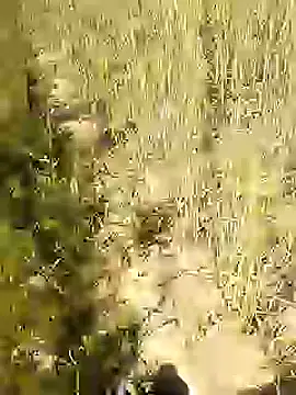 hornycouple20000 online show from February 24, 5:17 am