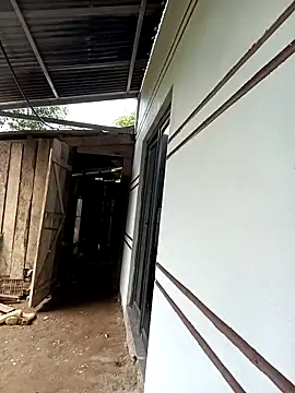 xiaogoal online show from March 24, 7:03 am