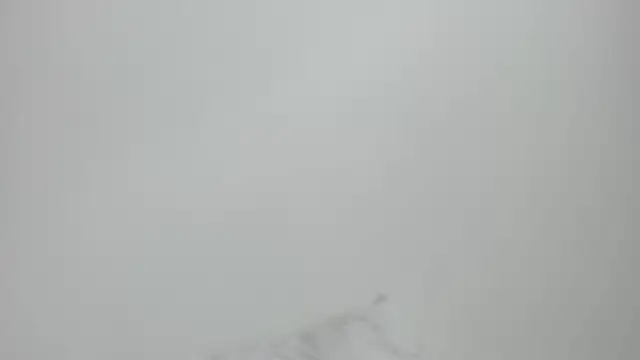 Sarah sumemers online show from February 24, 8:18 pm