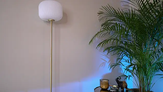 Tinydoll XO online show from March 6, 3:29 pm