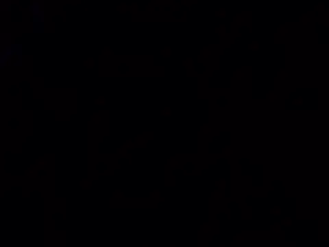 Notty 67 online show from March 7, 6:15 pm