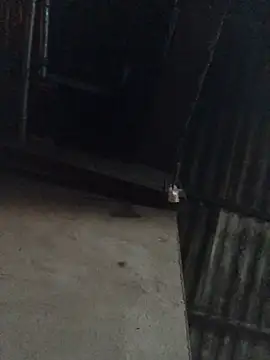 sun-shii online show from April 16, 10:45 pm