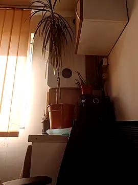 AdaJoy online show from February 26, 12:15 pm