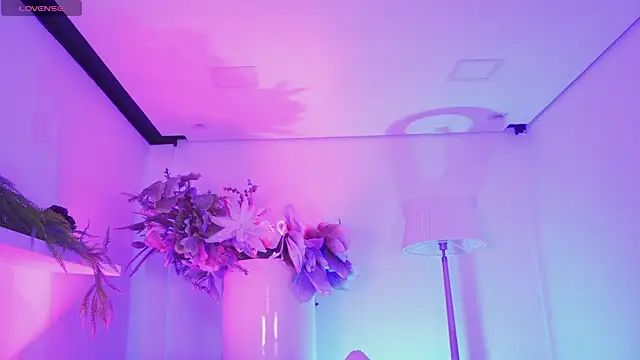 Dailyn  1 online show from January 18, 8:05 pm