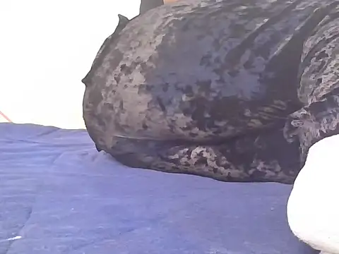 Gorgeous29th online show from March 7, 11:06 am