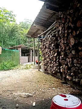 cutebobi online show from March 27, 5:09 am