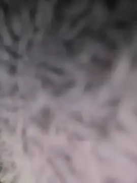 Puka2001 online show from March 2, 6:14 am