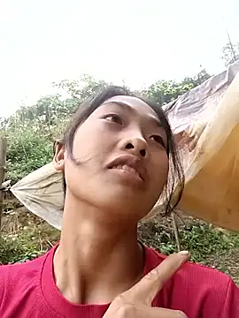 Hoa-tuylip online show from March 27, 12:12 am