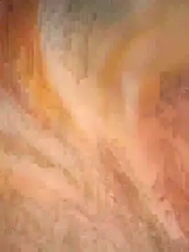 bhavna pandit online show from April 5, 3:33 pm