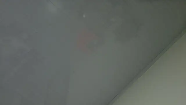 Alice-Lamore online show from March 30, 8:19 pm