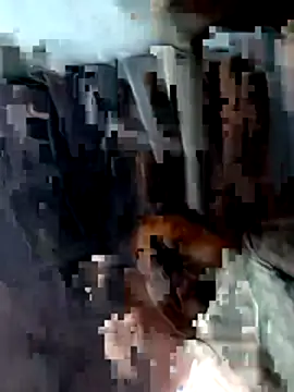 Manu mehta online show from April 15, 4:18 pm