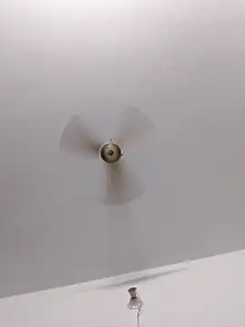 Tanla akter online show from March 4, 4:13 pm