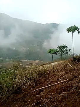 cana4455 online show from March 10, 2:15 am