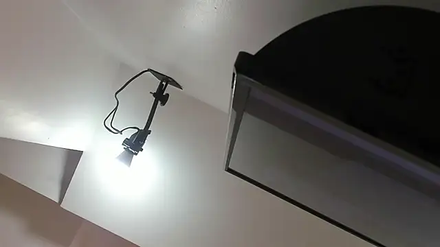 kate morgann online show from April 1, 8:17 pm