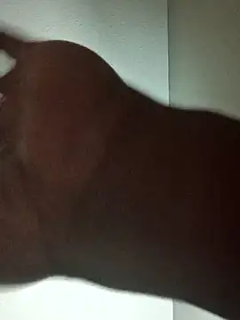 Waterwets online show from April 8, 7:32 am