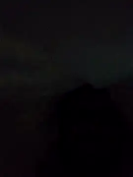 Carmog online show from March 13, 11:55 am