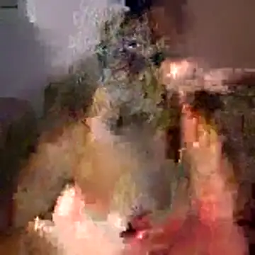 tubellaflor online show from March 1, 10:20 pm