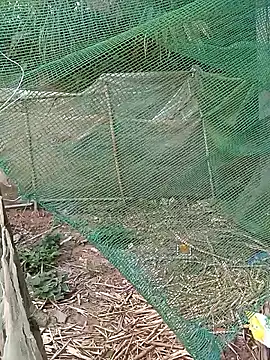 Nth5h online show from April 9, 11:21 pm