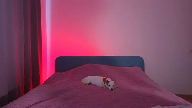 Goodlool online show from March 26, 9:22 am