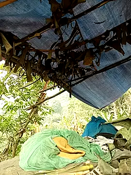 Mizu-hotshow online show from April 11, 3:45 am