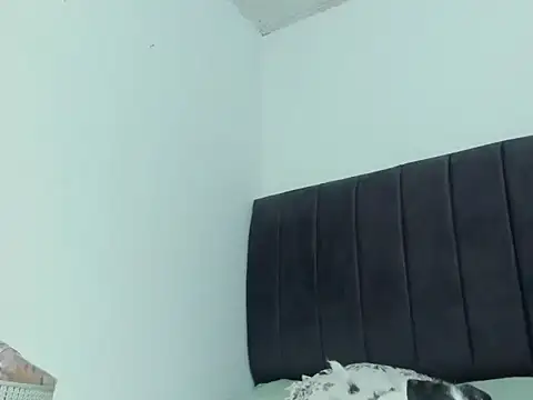 dalia 1 online show from March 27, 2:13 am