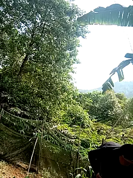 kalara kail online show from April 10, 8:31 am