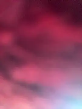 eu elisa online show from April 1, 5:32 pm