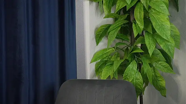 MandieLegum online show from May 12, 5:37 am