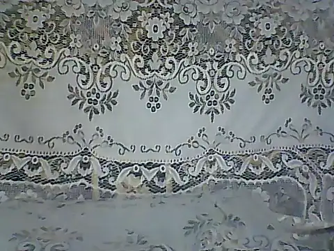 Primbae online show from May 31, 10:43 am