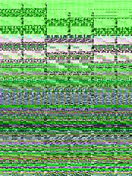 complisex2026 online show from July 12, 2:01 am