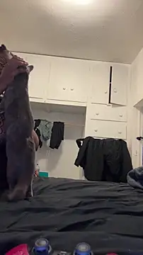 Anni123lolxh online show from November 29, 5:50 pm