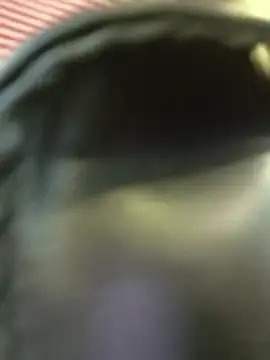 Frost foxy online show from April 8, 2:35 am