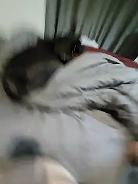 PhoenixDesirexh online show from November 20, 10:27 am