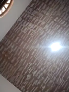 catdool online show from December 14, 12:22 pm