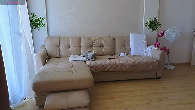 Rabbits couplee online show from September 11, 10:04 am