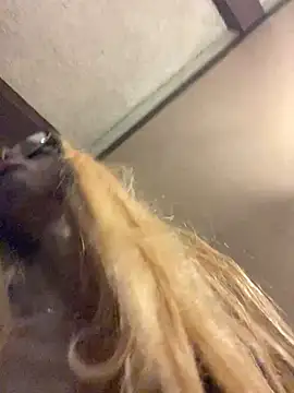 Jasmine FullsShine online show from March 9, 2:48 am