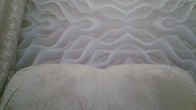 CathySuns online show from December 4, 5:46 pm