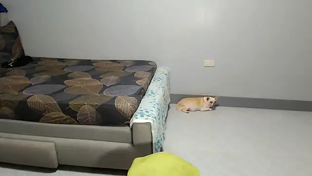 DOLL-DOMINATION online show from September 22, 7:01 pm