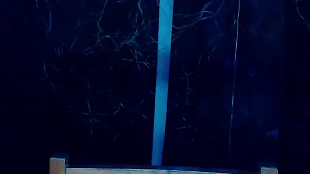 xblue aivee online show from November 5, 11:15 am