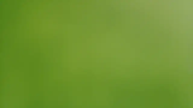 Sassy Latina online show from October 4, 7:29 pm