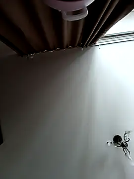 Lovers  Annn online show from March 9, 3:10 am