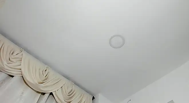 sarita loven online show from October 18, 5:10 am