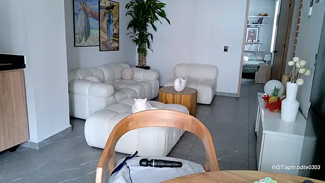 Nikol-JE online show from February 25, 8:29 pm