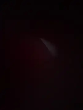 Sophie  Foxxx online show from October 7, 10:47 pm