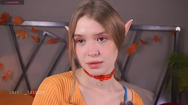 TataCoy online show from November 7, 12:33 pm